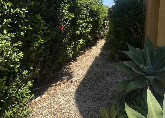 Vila Olympus Pissouri